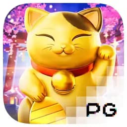 accessamericadirect: Lucky Neko