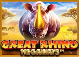 accessamericadirect: Great Rhino Megaways